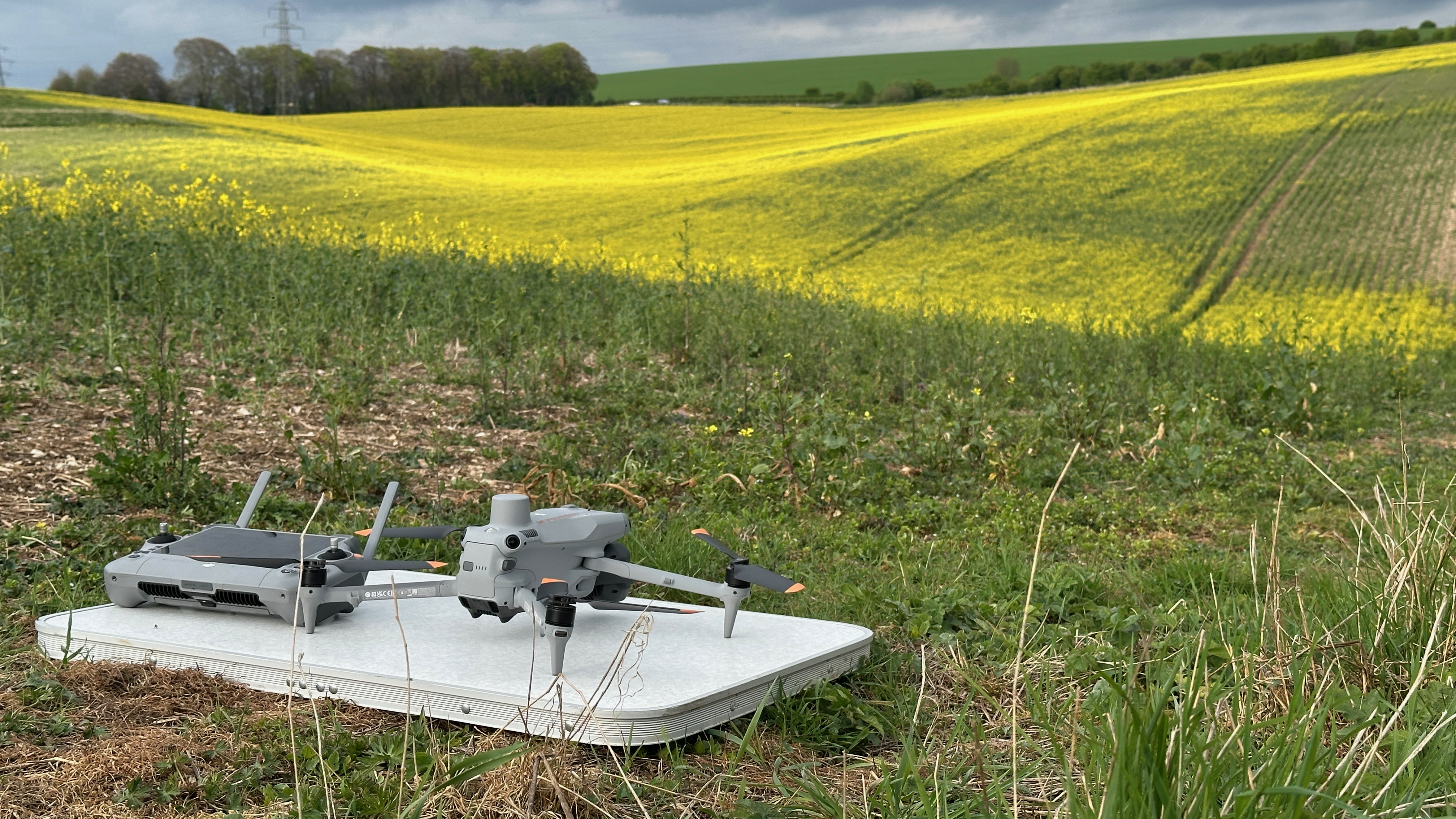 WildPosh: Mapping Pollinator Landscapes with Drone Surveys